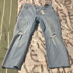 Express Light Blue Denim Jeans